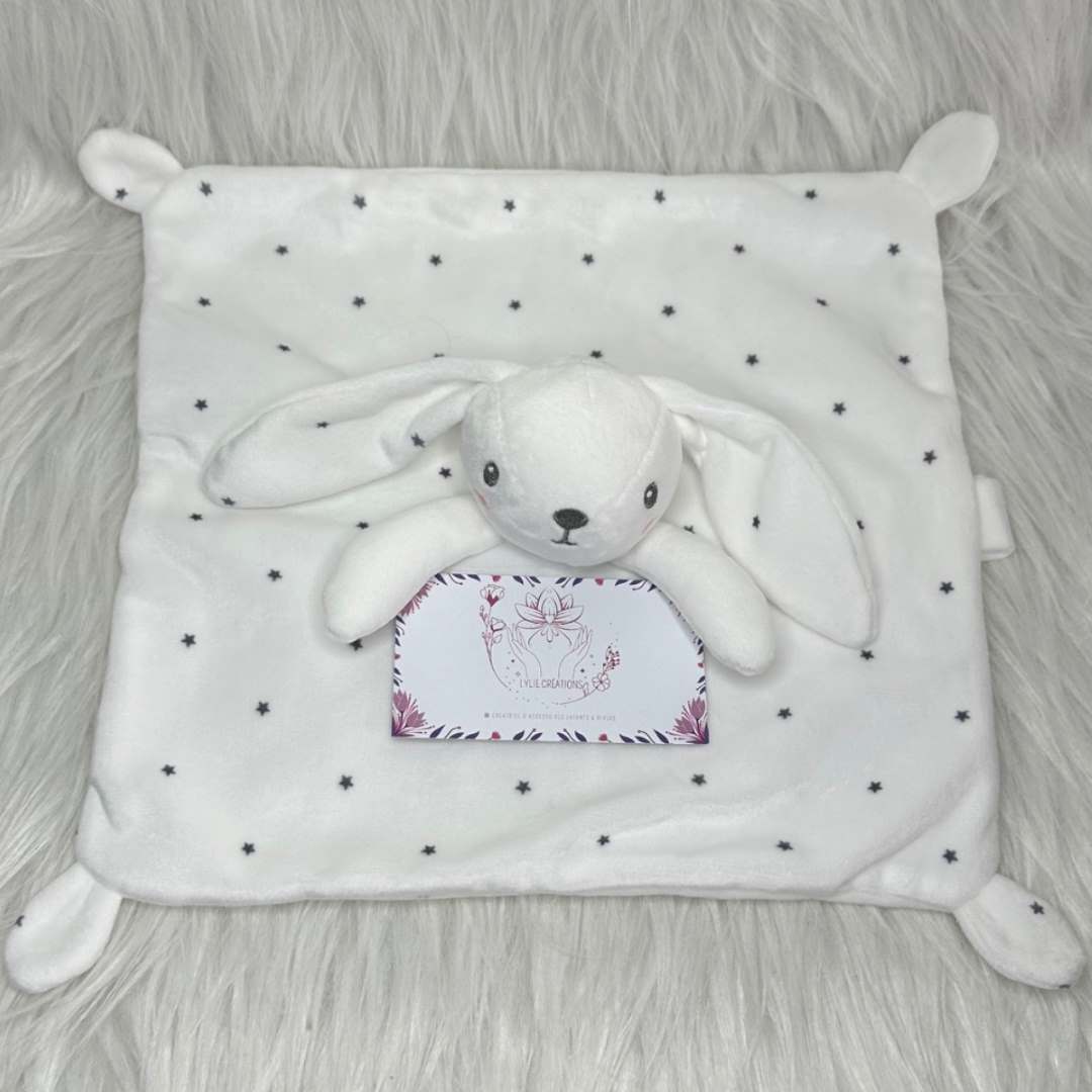 Photo Doudou Lapin
